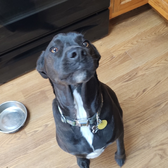 Meet your Posher, April - Picture 5 of 9